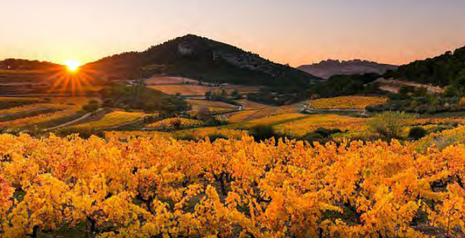 Grand Chapitre du 35ème Anniversaire