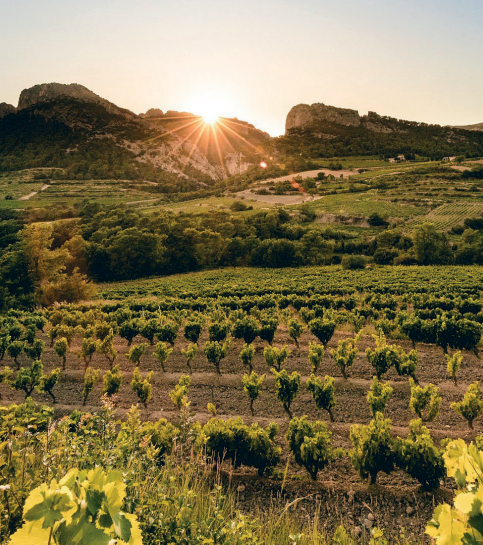 5ème édition du Salon des Vins du Rhône Dimanche 9 novembre
